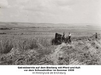 l13 - Getreideernte-auf-dem-Bierberg Sommer-1939 03